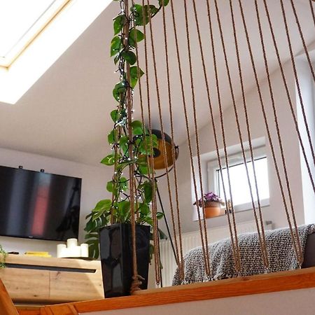 Loft Zulawy, Apartament Na Wylacznosc Nowy Dwór Gdański Extérieur photo