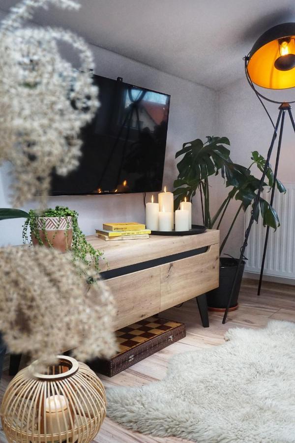 Loft Zulawy, Apartament Na Wylacznosc Nowy Dwór Gdański Extérieur photo